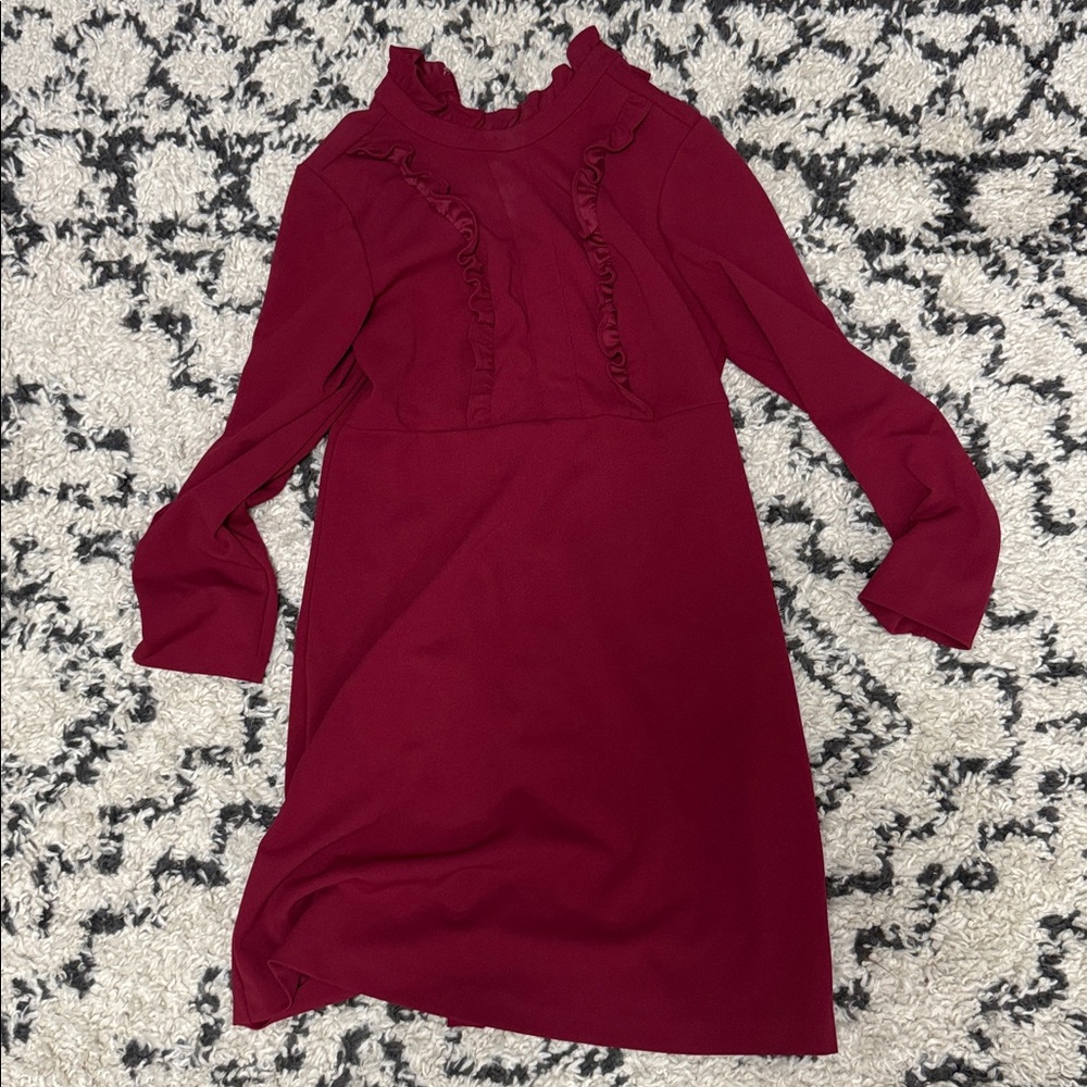 Sharagano Burgundy Long Sleeve Dress